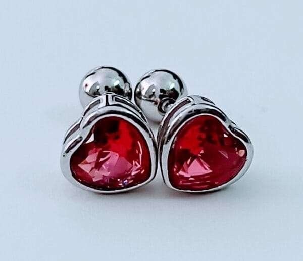 Elegant Sterling Silver Red Stone Studs