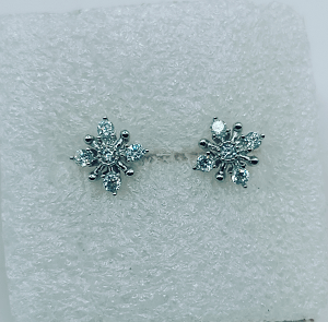 Sterling Stylish Earstuds